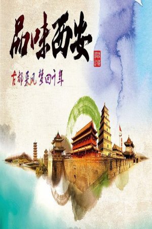 品味西安 (2019) poster