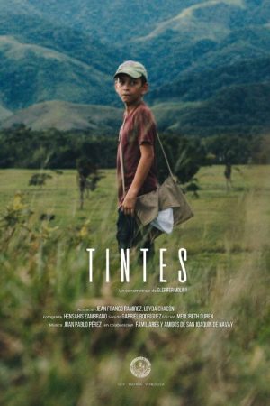Tintes (2024) poster