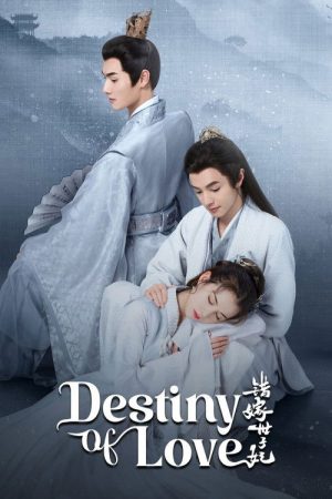 Destiny of Love (2025) poster