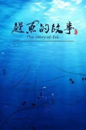 鳗鱼的故事 (2019) poster