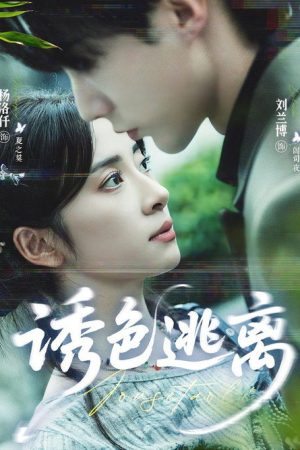 诱色逃离 (2025) poster