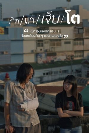 The Summer We Met (2025) poster