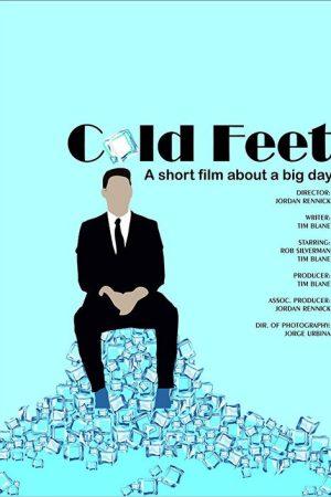 Cold Feet (2016) poster