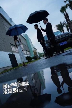 顾总以死相逼求复婚 (2023) poster