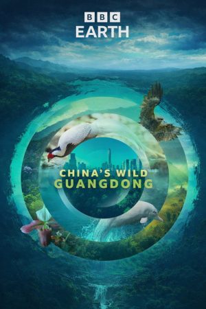 China’s Wild Guangdong (2026) poster