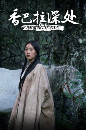 香巴拉深处 (2018) poster
