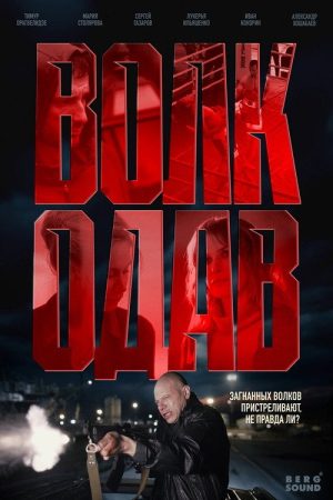 Волкодав (2025) poster