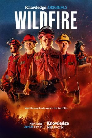 Wildfire (2025) poster