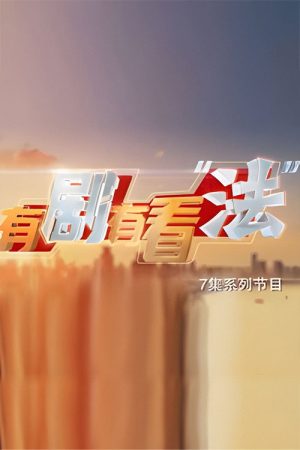 有剧有看“法” (2021) poster
