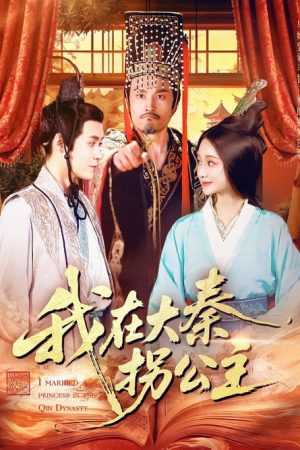 我在大秦拐公主 (2025) poster