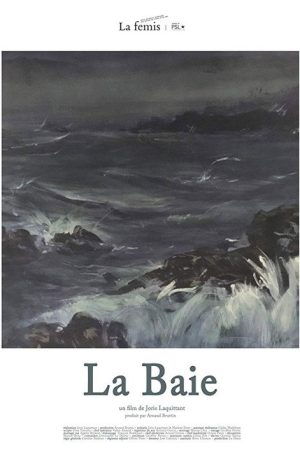 La Baie (2017) poster