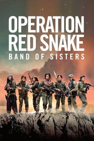 Sisters in Arms (2019) poster