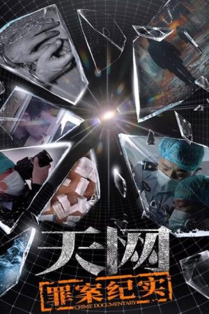 天网：罪案纪实 (2025) poster