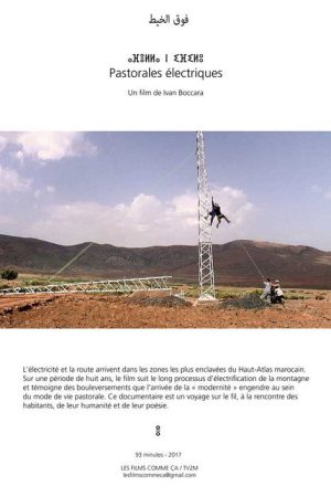 Pastorales électriques (2017) poster