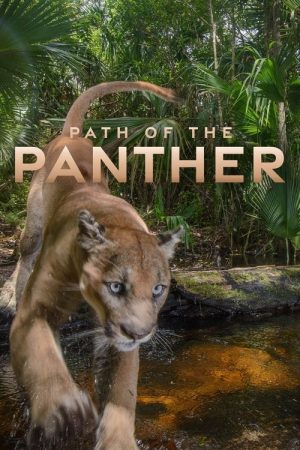 Path of the Panther (2022) poster