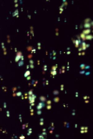 Ryzyup (2026) poster