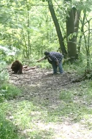 Bigfoot (2017) poster