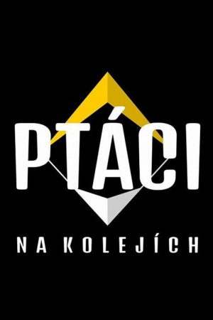 Ptáci na kolejích (2021) poster