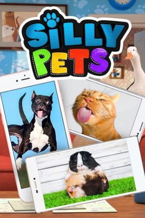 Silly Pets (2022) poster