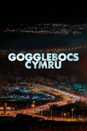 Gogglebox Wales (2022) poster