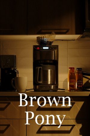 Brown Pony (2024) poster