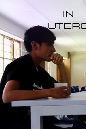 In utero (2019) poster