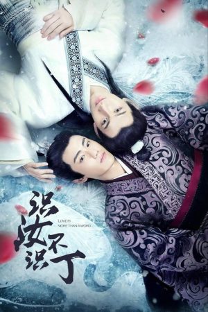 Love Is More Than a Word (2016) poster