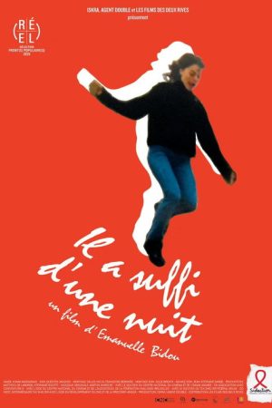 Il A Suffi D’Une Nuit (2025) poster