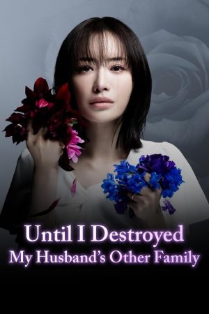 Until I Destroyed My Husband’s Other Family (2024) poster