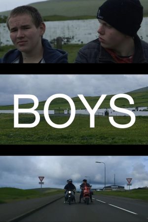 Boys (2016) poster