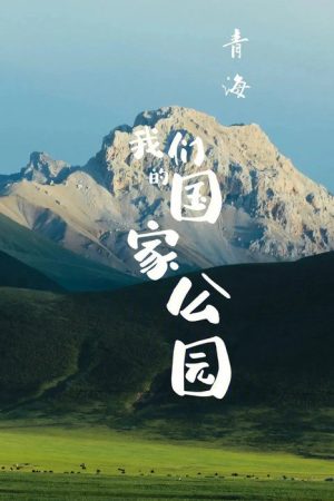 青海·我们的国家公园 (2021) poster