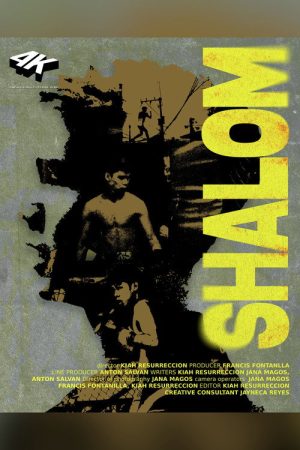 Shalom (2026) poster