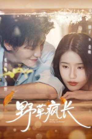 野草疯长 (2025) poster
