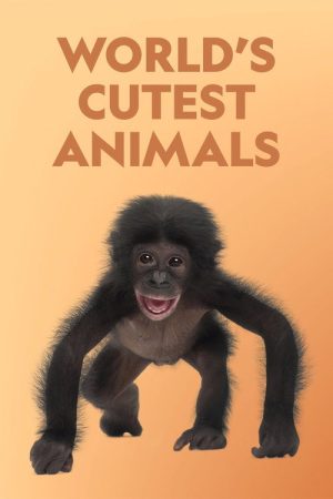 World’s Cutest Animals (2019) poster