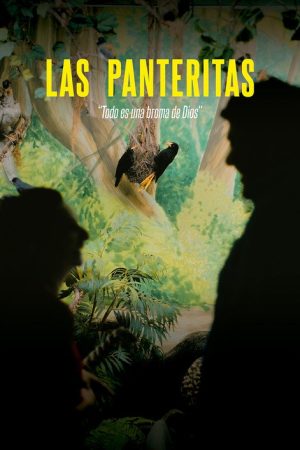 The Little Panthers (2025) poster