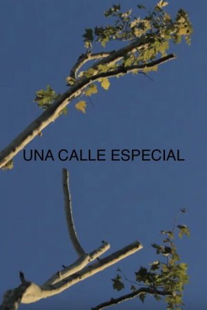 Una Calle Especial (2019) poster