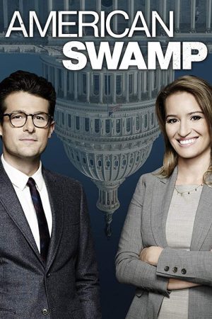 American Swamp (2019) poster