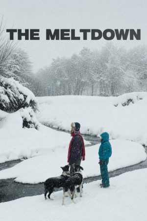 The Meltdown (2026) poster