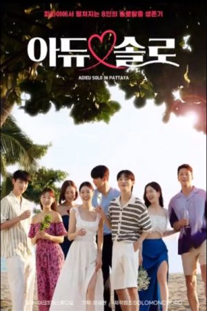 Adieu Solo (2026) poster