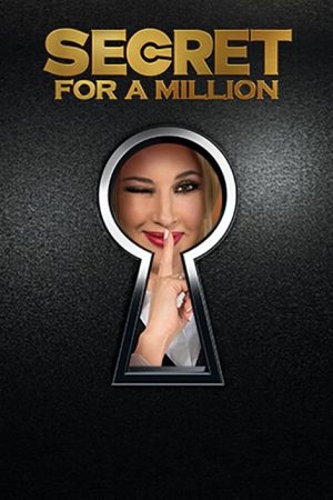 Secret For a Million (2016) poster