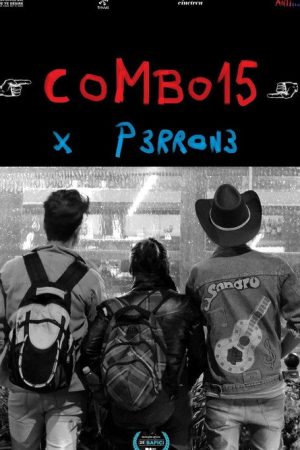 COMBO15 (2024) poster