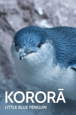 Kororā: Little Blue Penguin (2021) poster