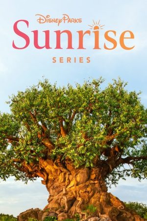 Disney Parks Sunrise Series (2020) poster
