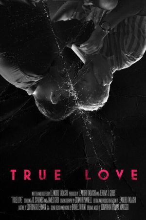 True Love (2026) poster