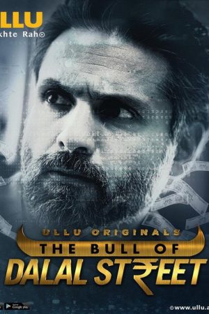 The Bull Of Dalal Street (2020) poster