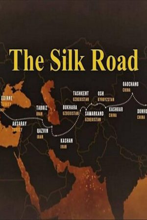 The Silk Road (2017) poster