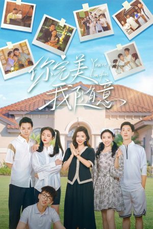 You’re Perfect I’m Free (2025) poster