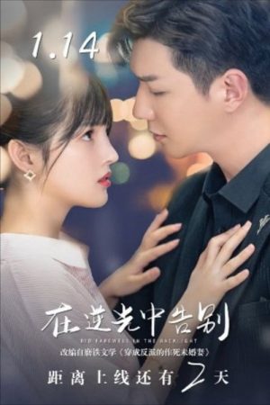 Bid Farewell in the Backlight (2022) poster