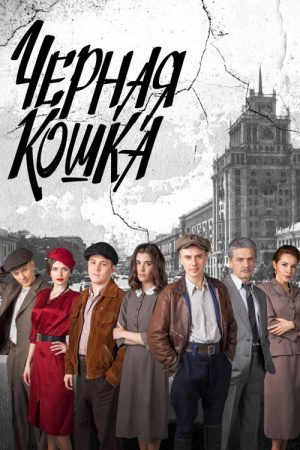 Чёрная кошка (2016) poster