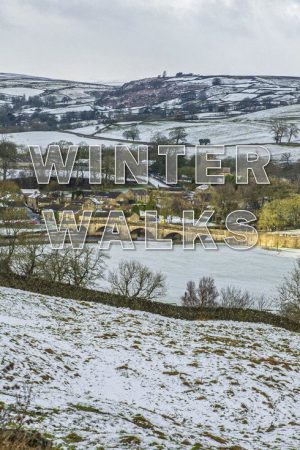 Winter Walks (2021) poster